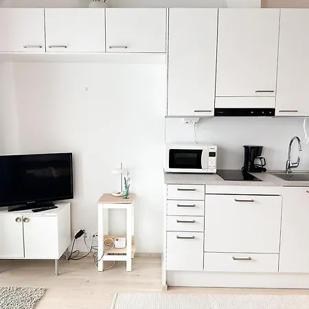 公寓 Kruuna 库奥皮奥